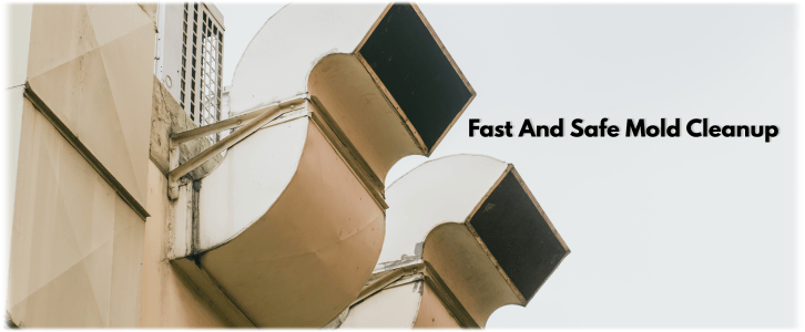 Air Duct Mold Removal in Atlanta