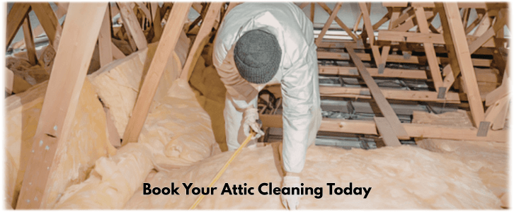 Attic Cleaning Atlanta